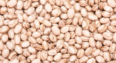 671599584_1699341564379497_7810140710014047520_n