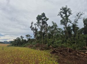 671699928_18243422977307612_5570223104629047641_n