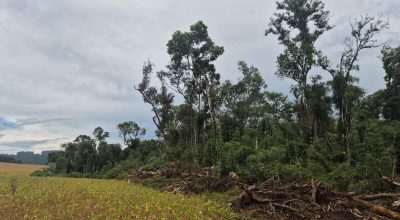 671699928_18243422977307612_5570223104629047641_n