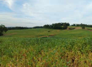 76634b8f-f002-451c-83e9-0351331ec6f1