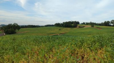 76634b8f-f002-451c-83e9-0351331ec6f1