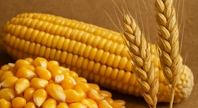 Copilot_20260107_095852