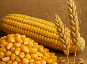 Copilot_20260107_095852