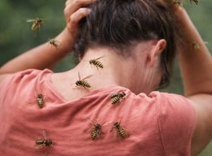 FB_IMG_1769964299055