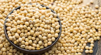 FB_IMG_1770046038822