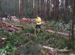 FB_IMG_1770198042845