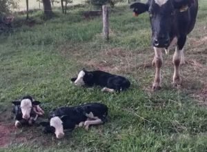 FB_IMG_1770421344121~2