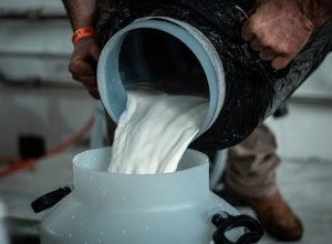 FB_IMG_1770455842683