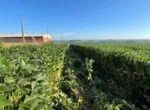 FB_IMG_1770507957568