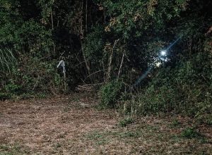 FB_IMG_1771026341442