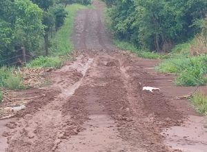 FB_IMG_1771157351239