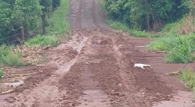 FB_IMG_1771157351239