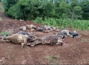 FB_IMG_1771170166302