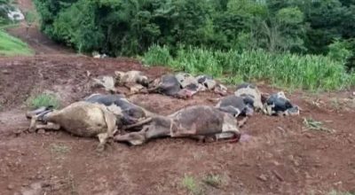 FB_IMG_1771170166302