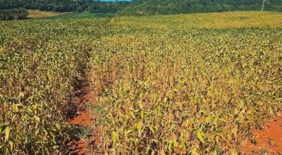 FB_IMG_1771285225305