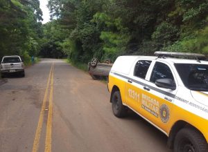 FB_IMG_1771345033581