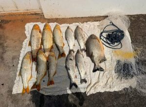 FB_IMG_1771372010432