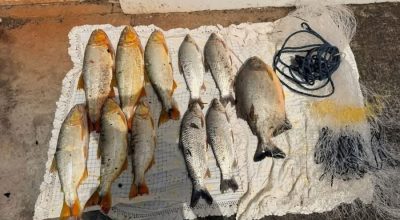 FB_IMG_1771372010432