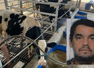 FB_IMG_1771427887562