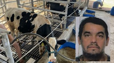 FB_IMG_1771427887562