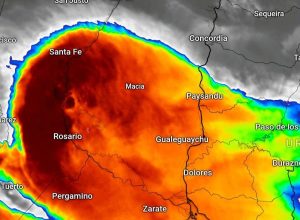 FB_IMG_1771516684884