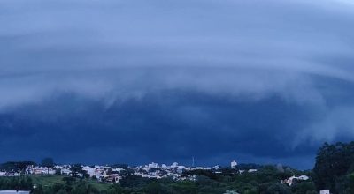 FB_IMG_1771548137080