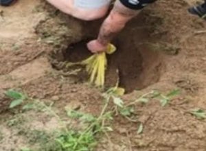 FB_IMG_1771859863123