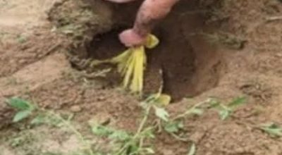 FB_IMG_1771859863123