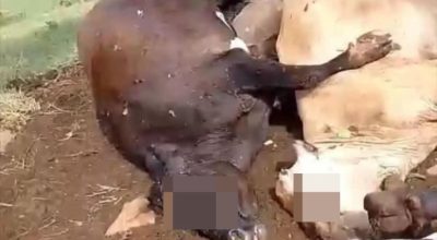 FB_IMG_1771861932830