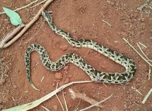 FB_IMG_1772033032502