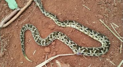 FB_IMG_1772033032502