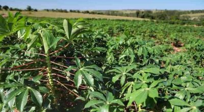 FB_IMG_1772152861817