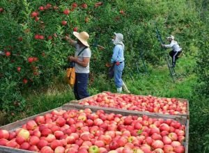 FB_IMG_1772292404889