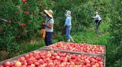 FB_IMG_1772292404889