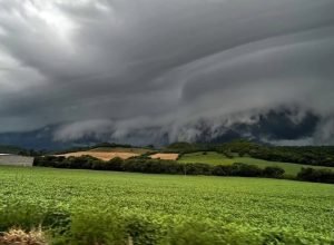 FB_IMG_1772378791741