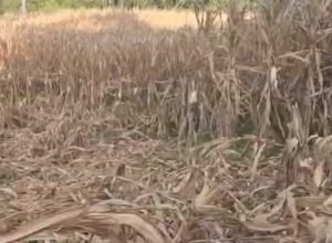 FB_IMG_1772470837749