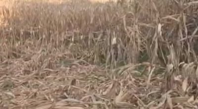 FB_IMG_1772470837749