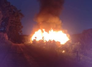 FB_IMG_1772484970745