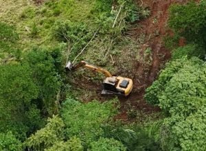 FB_IMG_1772494864896