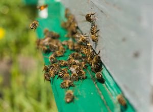 FB_IMG_1772755379595