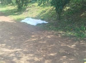 FB_IMG_1772896223390