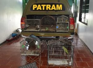 FB_IMG_1772898730326