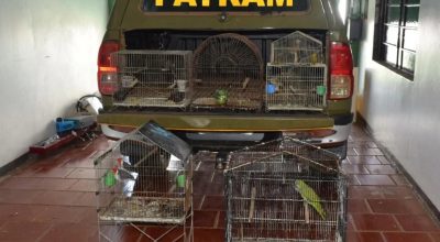 FB_IMG_1772898730326