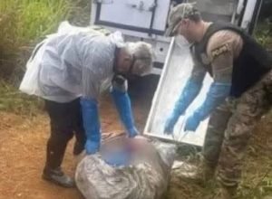 FB_IMG_1772927427407