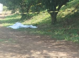 FB_IMG_1772929508720