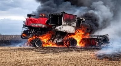 FB_IMG_1773098720539