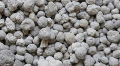 FB_IMG_1773155412162