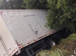 FB_IMG_1773357238650