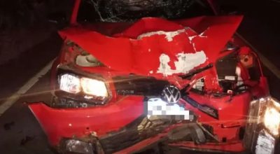 FB_IMG_1773660701557~2