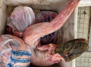 FB_IMG_1773846320237